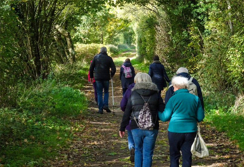 A previous Vision Norfolk walk along the Themelthorpe Loop near Reepham. A group walks a path through trees. Light breaks through the trees in places and there are leaves on the ground.