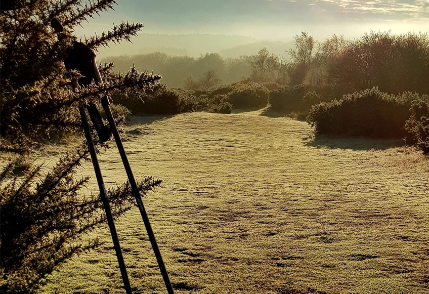 Picture of walking poles in sunshine
